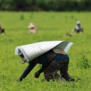 동신대학교 사회개발대학원 이미지