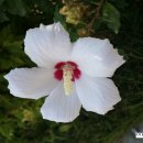 김제아리랑농원 이미지