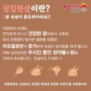 솔길집 | 김해 율하 치킨 맛집 낭만장작 재방문 | 마늘통닭·콘치즈통닭 반반 후기