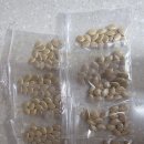 상리단호박 이미지