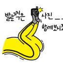 샬롯 스무디 카카오 검색결과