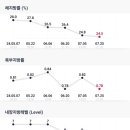 비기너 짐 이미지