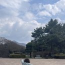 렛츠런파크 제주 이미지