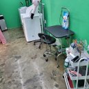 울산애견미용 러빙도기 이미지