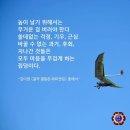 아랑고고장구 이미지
