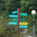 히든밸리펜션 이미지