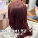 금강프라자빌딩 | 의정부 염색 잘 하는곳 탈색없이 로즈브라운 트리니티 헤어 신곡점