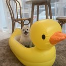 멍앤리치 이미지