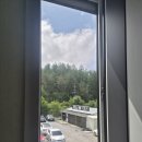 태백모터스 | 태백방충망 전원주택 현관롤 미세망 교체 시공 모헤어 샷시틀 살균 청소 마감 업체 선택 기준 고양이...