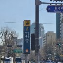 서울재동초등학교 | 안국역맛집 북촌 감성 가득한 인사동쭈꾸미 솔직 후기 맛있게 매운 하루의 시작