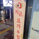 지금요가&힐링