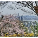 응봉공원3 이미지