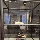 까멜리아 | [샤넬] 26C 까멜리아 슬링백(블랙) 구매 후기