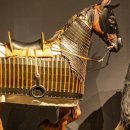 출토96 소나무 이미지