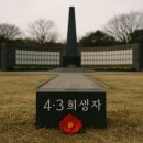 오늘제주 이미지