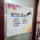 오대양복어 이미지