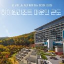 하이원리조트 마운틴콘도 객실 특가 프로모션! 3박 179,000원!(분할사용가능) 이미지