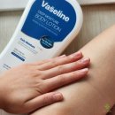 주식회사벳스템솔루션 | 가성비 끝판왕! 향 좋은 고보습 대용량 퍼퓸바디로션, 메르헨트 바세린 바디로션추천! 인생템 후기