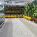 농촌테마공원3 이미지