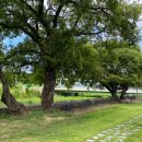 성주별고을체육공원 주차장 화장실 | [경북 / 성주 카페] 성주 주차장 있는 대형 카페 파스쿠찌 성주별고을체육공원점 내돈내산 후기