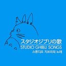 멜티도나 이미지