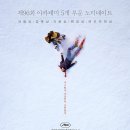 [영화] 추락의 해부: 우리는 알 수 없는 것들에 대해 (해석/후기)