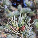 성어공원 이미지