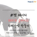 더펫레시피 뉴스1