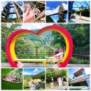 수억목장 | 충북 증평웰니스 좌구산 숲 명상의집 한방웰니스 프로그램 명상구름다리 연암지질생태공원