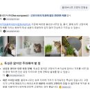 철제농장 | 강원 농원과 와이키키농장에 다녀왔다.