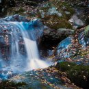 태안사계곡 이미지