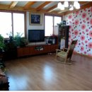 조박사민박 이미지