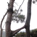 (주)연리지