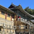 영불로2(서) | 엄마 아빠와 경주 수학여행 2일차(2024.11.06)