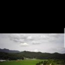 진교 메타세쿼이아길 이미지