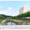 안산천수변공원1 이미지