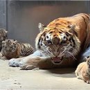 미호농장 이미지