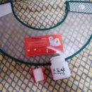 캣츠앤독스동물병원
