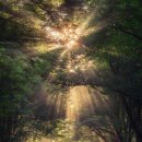 징검다리 이미지