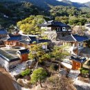 산향기의 속리여행 | 🌸섬진강 벚꽃길 여행