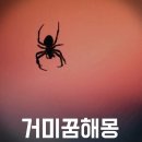 거미