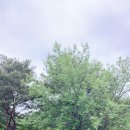 헤어샵다솜