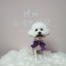 [부산서면실내데이트] 아이패드 드로잉 클래스 스튜디오 ‘러브쏘피’ 부산서면이색데이트 추천!