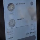 캐치캐치 | 일산 포폴로피자 평일 웨이팅 캐치테이블 후기