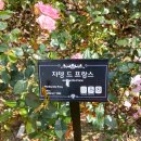 곡성-183 이미지