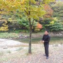 장수오토
