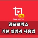 프로믹스 티스토리
