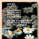 6월의 달력 - 목필균 이미지