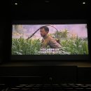 시온카서비스 | 7월ㅣ🔺엑디즈•F1•런데이•생귤롤 🔻카더가든&amp;오존