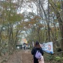 홍삼천국 | [일상/BMW산악회]바람 잘 날 없다/한라산 등반 후기